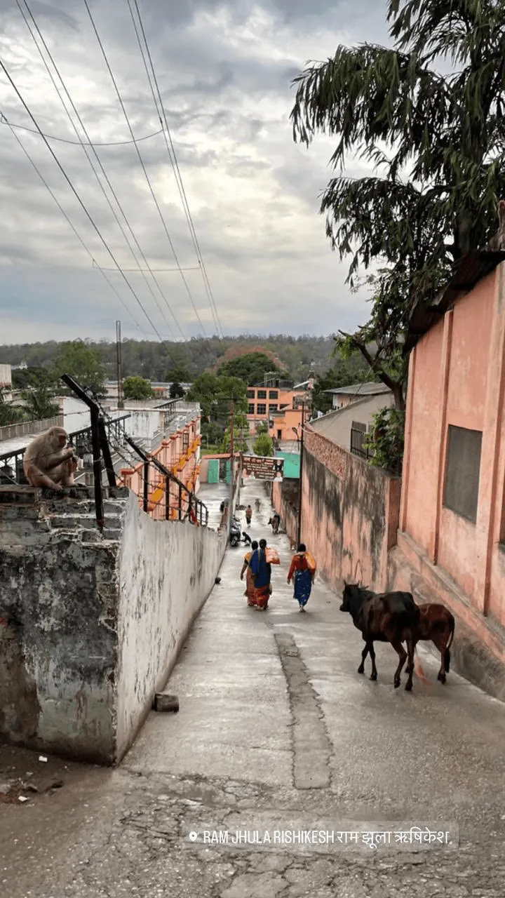 Morning in Rishikesh